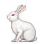 :rabbit2: